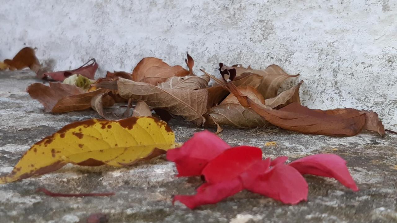Pietra D'Angolo โลโกโรตอนโด ภายนอก รูปภาพ